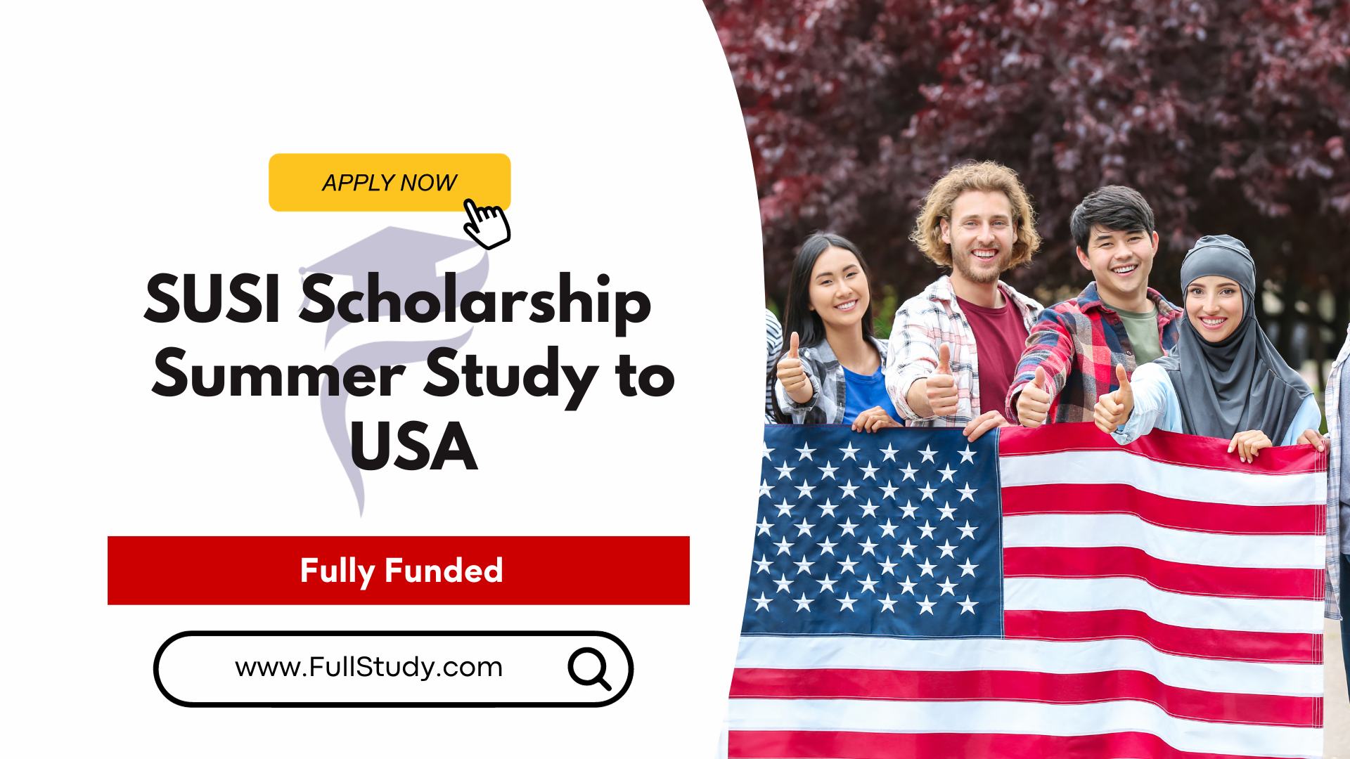 SUSI Scholarship 2024 Fully Funded Summer Study to USA